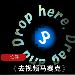 （去视频马赛克）破解版