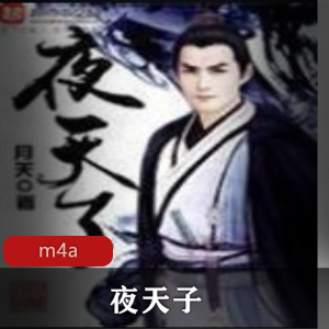 （夜天子）有声小说