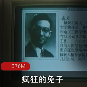 （疯狂的兔子）电影完整版在线观看