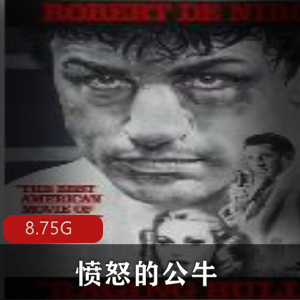 （愤怒的公牛）完整版