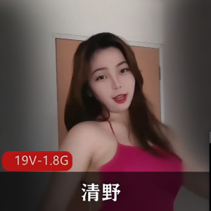 舞蹈平台清野知名舞主8月精剪合集19V1.8G，福利姬迷人舞蹈大赏