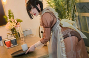 高质量cosplay起司块wii女神资源合集4G，魅魔足系列，绅士必看