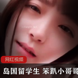 推特笨趴小哥哥岛国留学生合集99部3.2G水多诱人