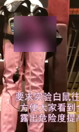 援器学会5v新人福利视频合集20G重磅泄露