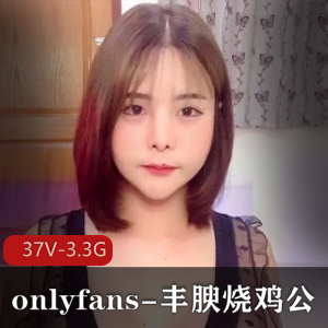 烧鸡公onlyfans优质37部3.3G丰腴自拍