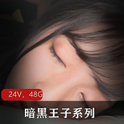 暗黑王子系列东京热24部48.2G深夜必看