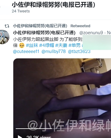 P站SirBAO绿帽Cos视频18部554M绝密展示