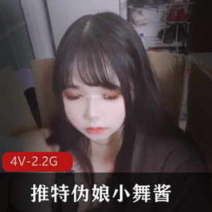 小舞酱变装秀派对狂欢4V合集2.2G极致魅惑